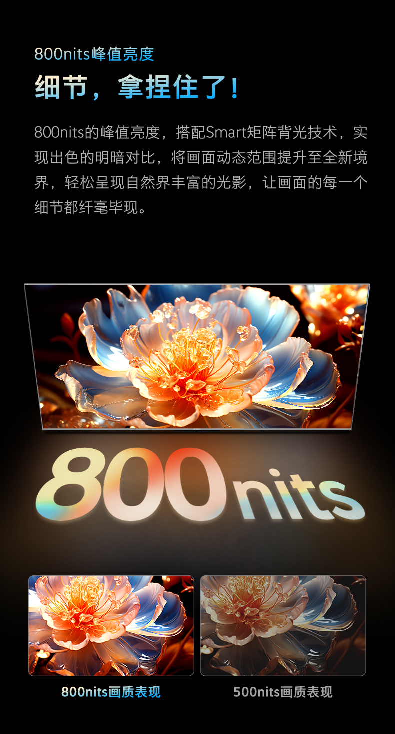 55A4D-Pro-05.jpg