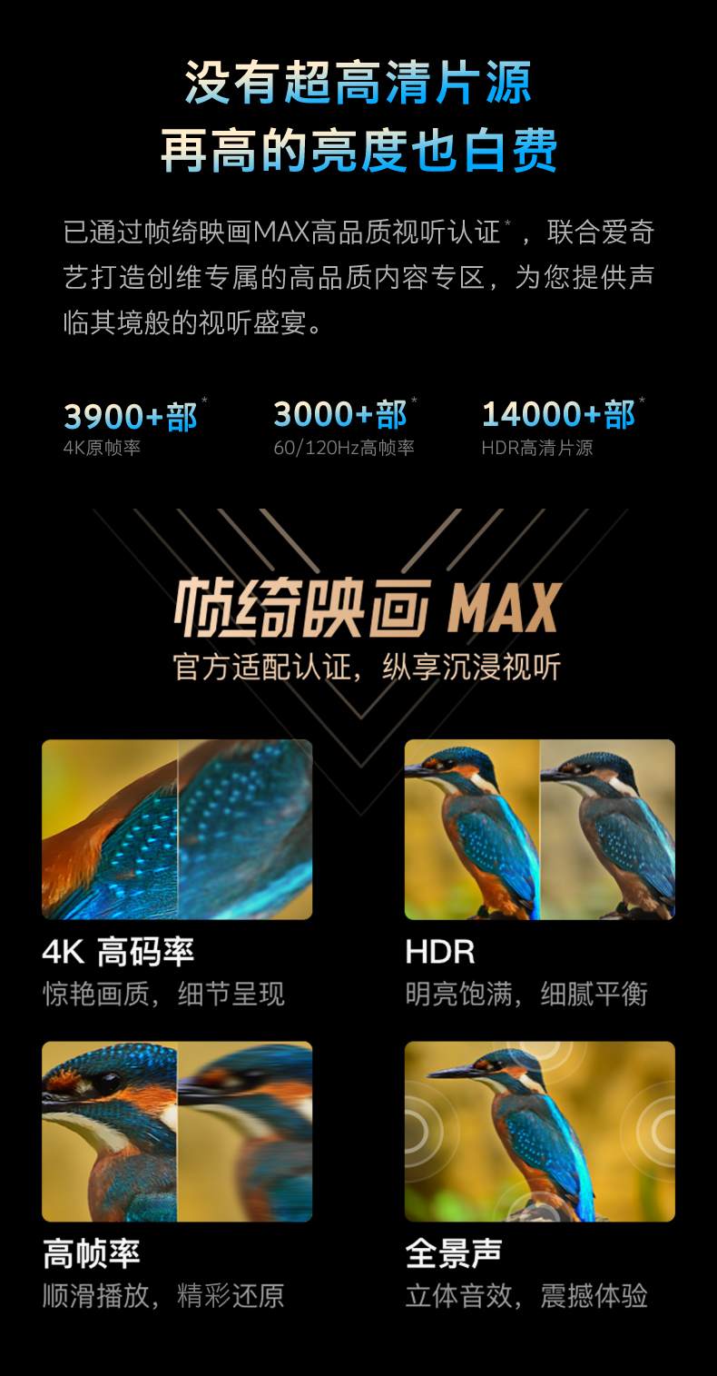 55A4D-Pro-06.jpg